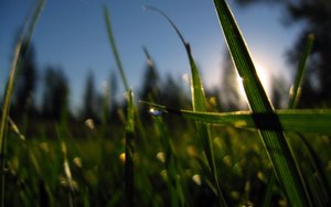 数据恢复误格式化：补救步骤与工具推荐